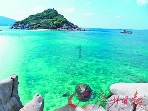 许晓婷完胜姚迪,上海女排4人得分上双,蔡斌还给丁霞留位置吗?