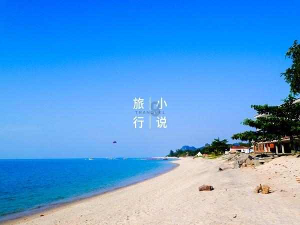 德国NADAL诺如病毒快速检测卡