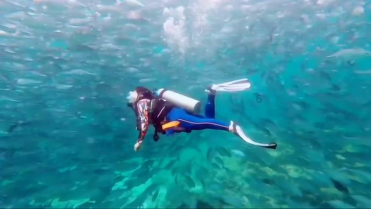 女性流产后如何恢复调理？