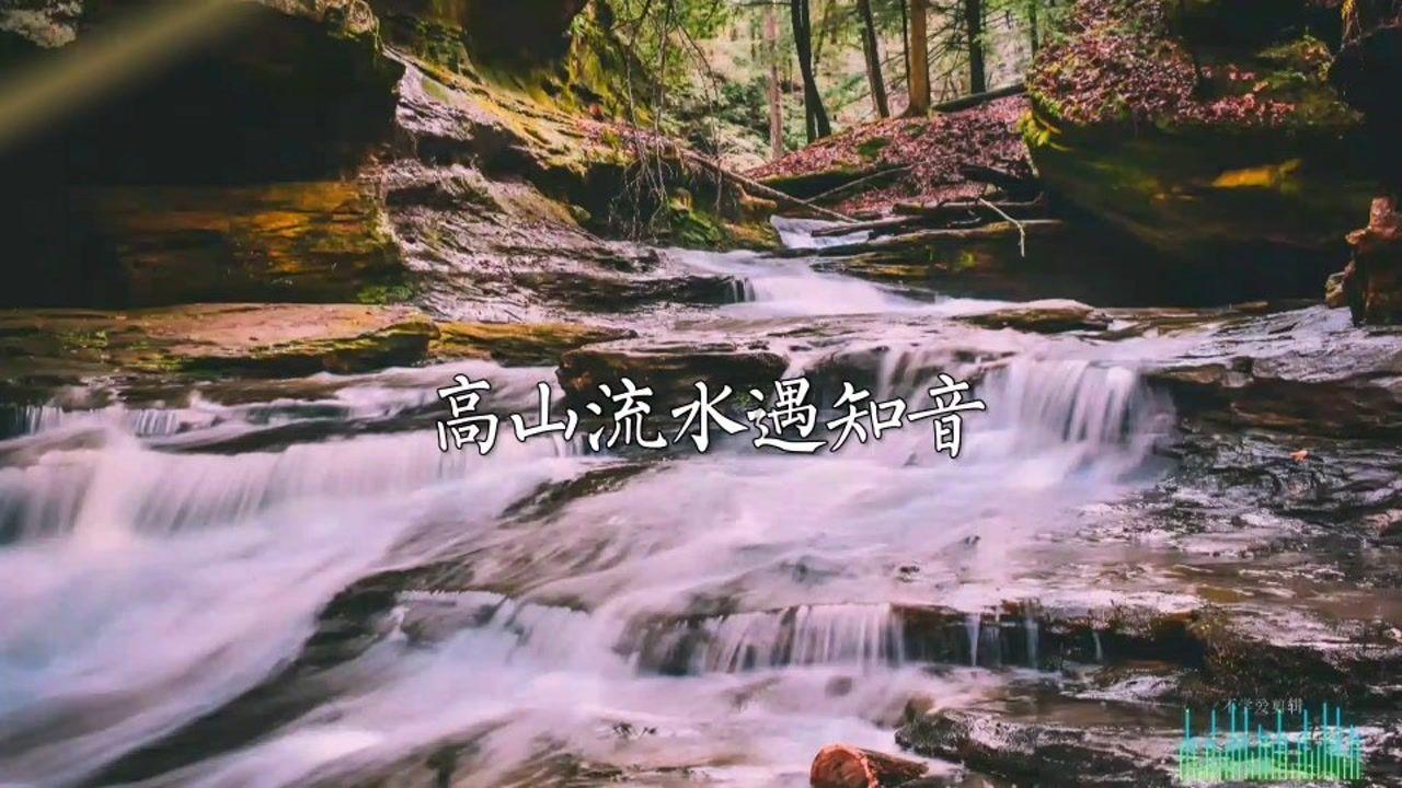 幻想变奏曲(九)‖文/张旭阳